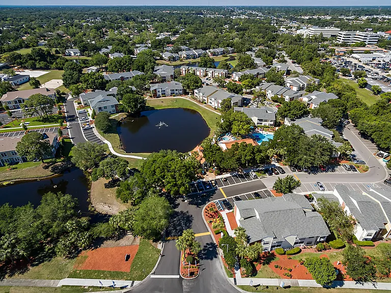 Ariel View of the Community