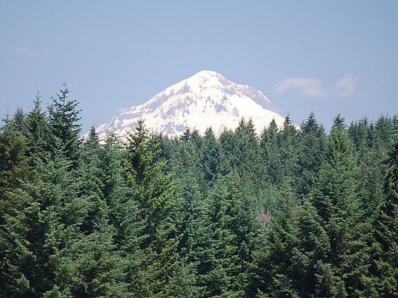 Mt Hood