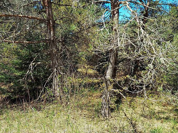 2nd image of Johnson Rd