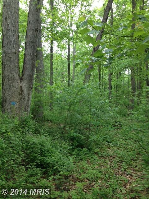 2nd image of 1307 Brehm Rd