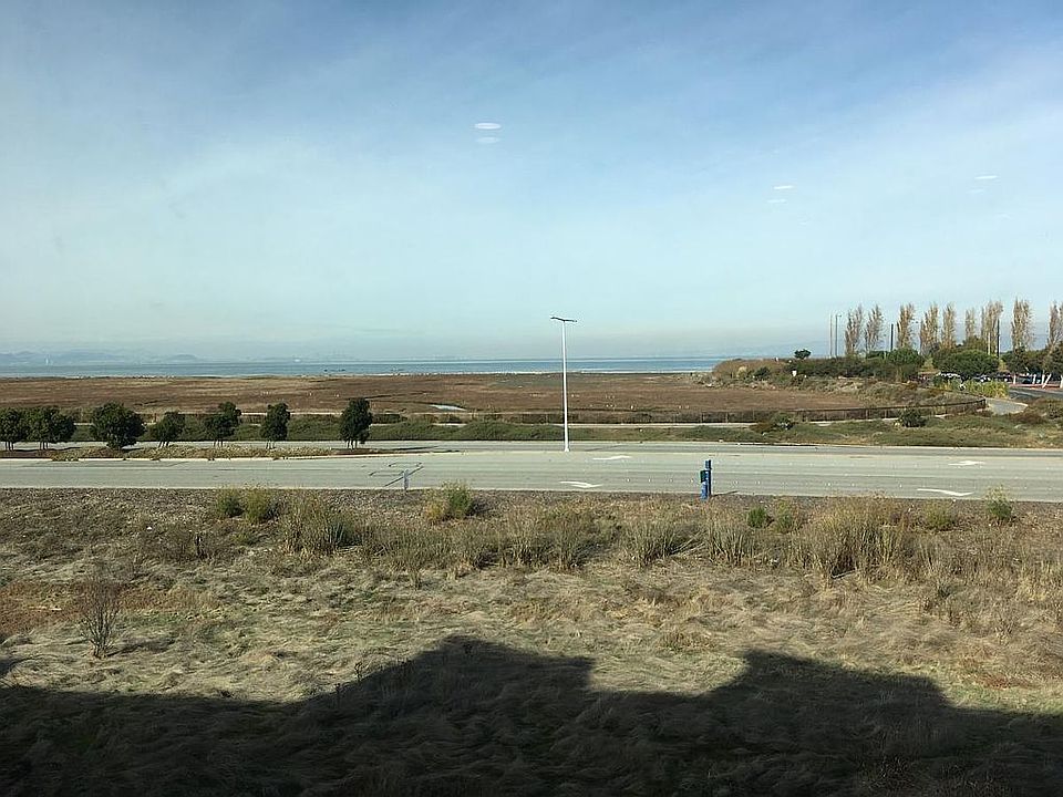 View from Living Room