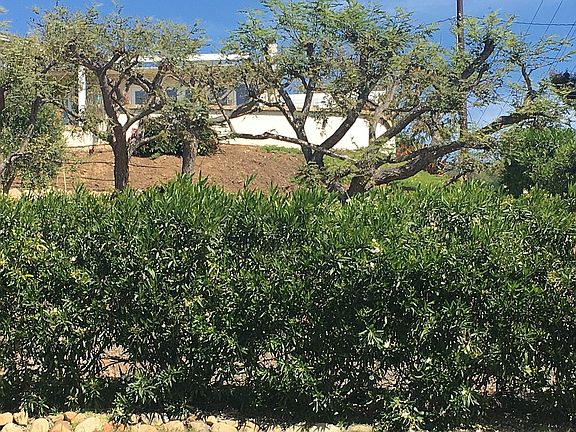 2nd image of 404 Alameda Padre Serra