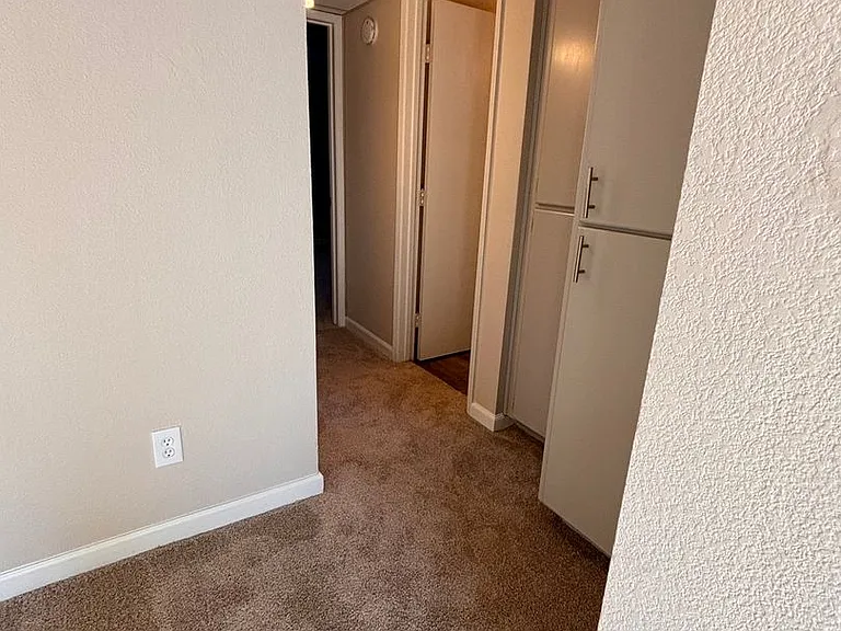 Olive Glen — Photo 19