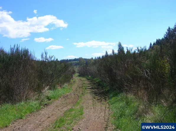 0 Moonshine Park Rd, Logsden, OR 97357
