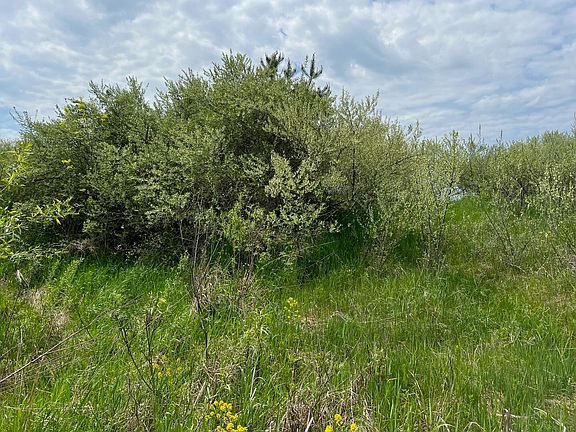 5th image of 305 E Johnson Rd