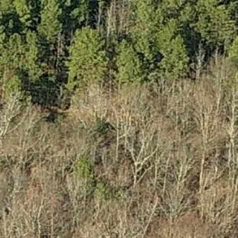 1st image of 1230 Transformation Ln