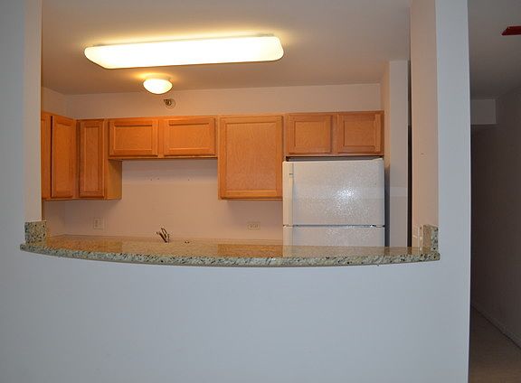 4th image of 345 N La Salle Dr #2309