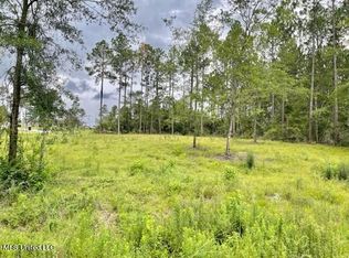 56 N Switch Dr #154, Carriere, MS 39426
