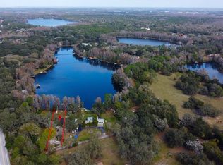 8539 Old Country Rd, Odessa, FL 33556