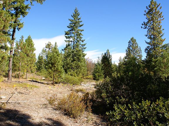 3rd image of Cedar Valley Rd
