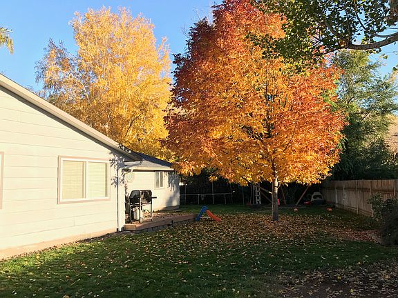 Backyard in the fall