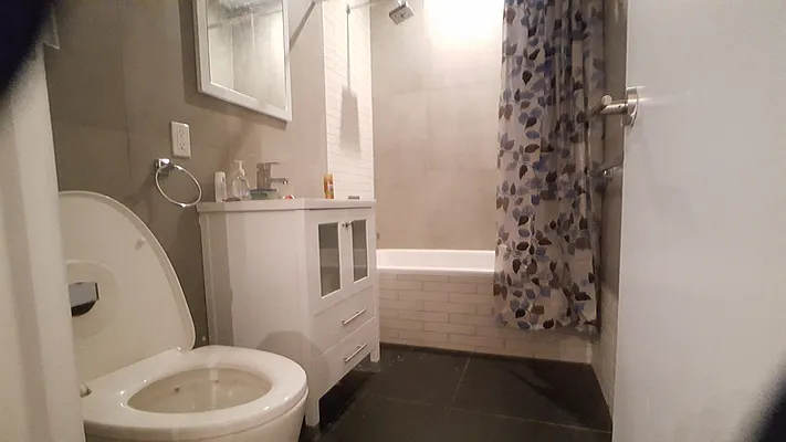 Rented by Evergreen Apartments BK | media 28