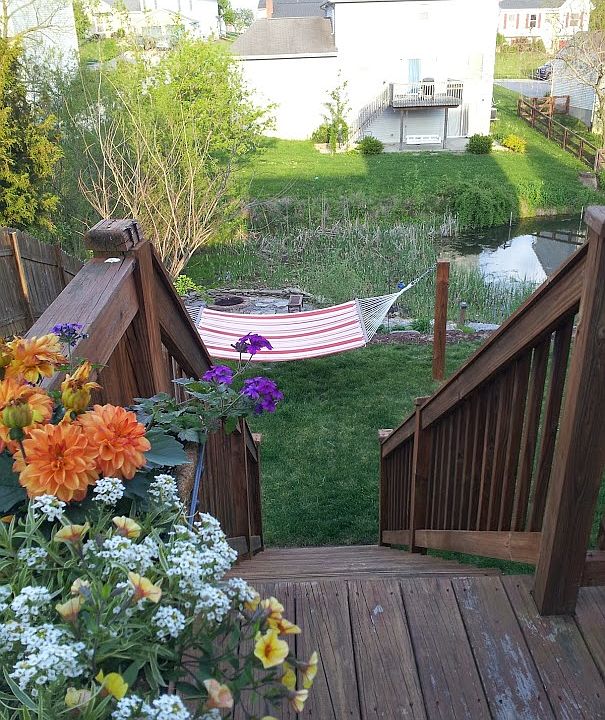 1st image of 1269 Harbor Ct