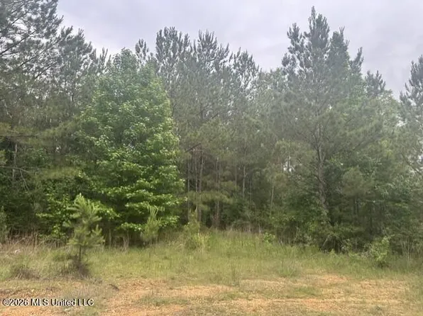 1048 Williamson Rd, Wesson, MS 39191