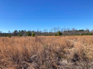 Bert Hanna Rd, Johnsonville, SC 29555