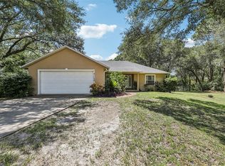 31154 Lochmore Cir, Sorrento, FL 32776
