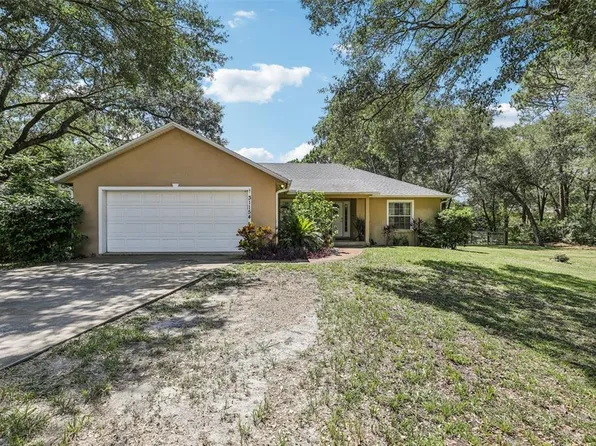 31154 Lochmore Cir, Sorrento, FL 32776