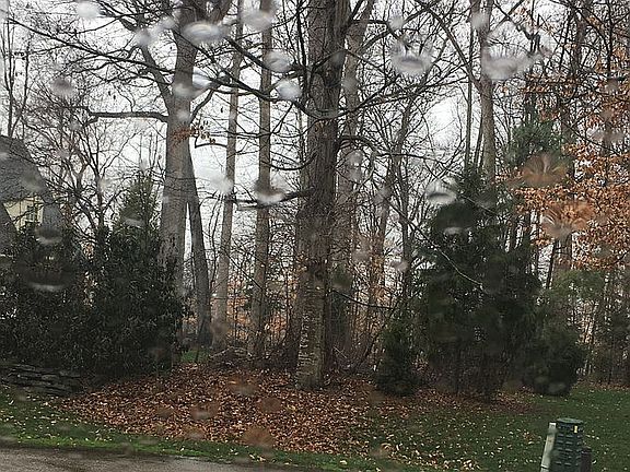 3rd image of 221 Burtcher Ct