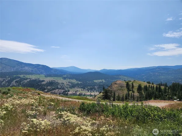 999 Roundabout Road, Tonasket, WA 98859