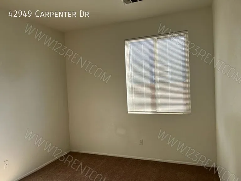 42949 Carpenter Dr — Photo 19