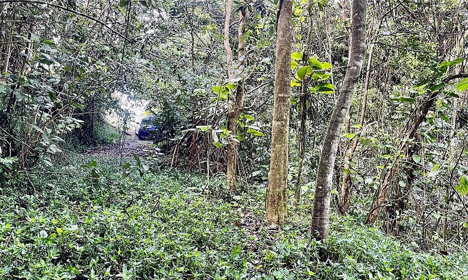 2nd image of 718 Bo Pasto Rd