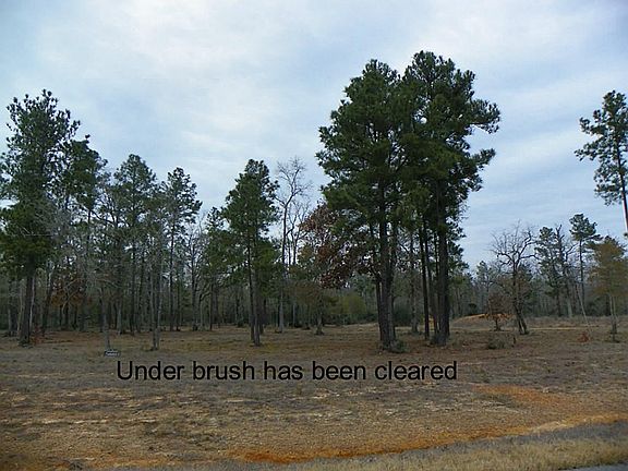 View looking to the right.