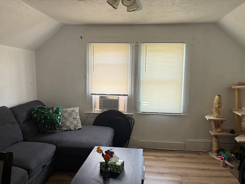 3 Conlon St #5