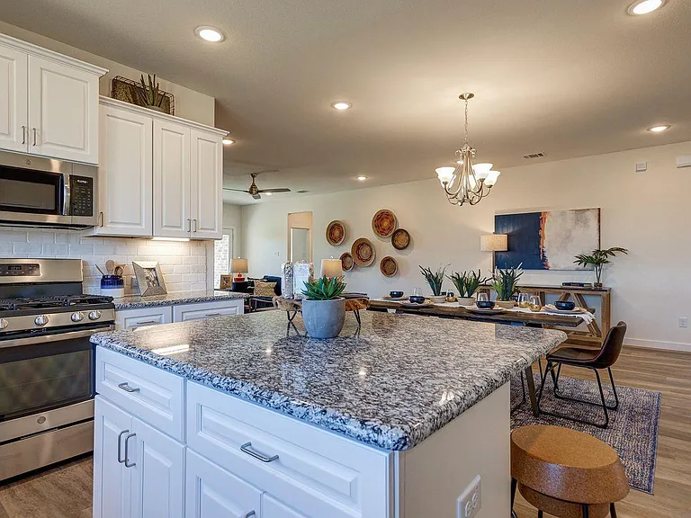 4105 Silver Lace Ln — Photo 10