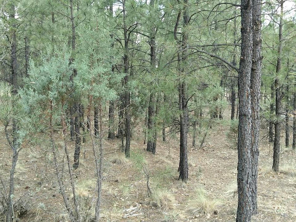 2nd image of 2506 San Juan Dr