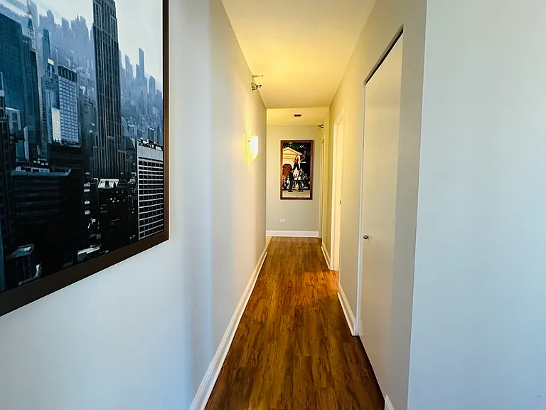 512 N McClurg Ct #3704 — Photo 16