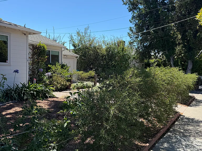 Front yard south side
