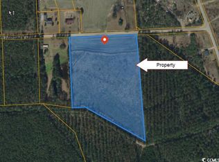 Bethel Rd, Galivants Ferry, SC 29544