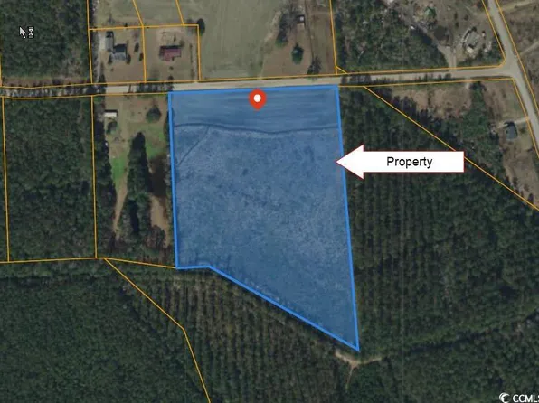TBD Bethel Rd., Galivants Ferry, SC 29544