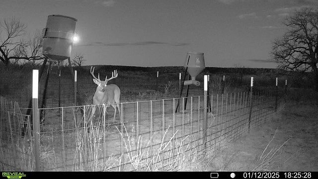1st image of 163 Campbell Ln