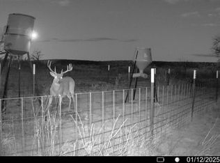 163 Campbell Ln, Jacksboro, TX 76458