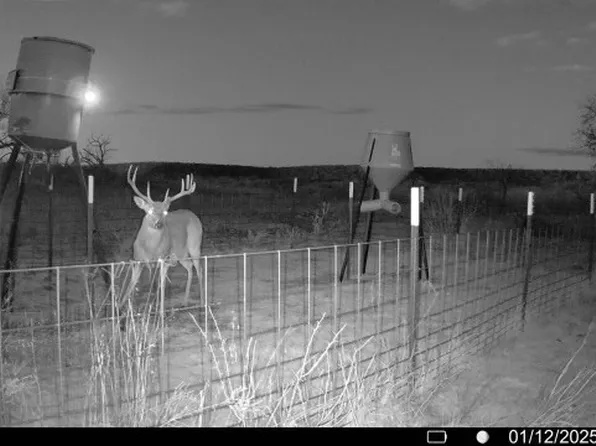163 Campbell Ln, Jacksboro, TX 76458