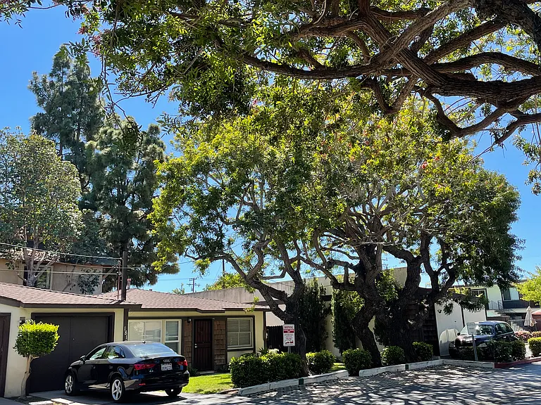 Coast Apts — Photo 7