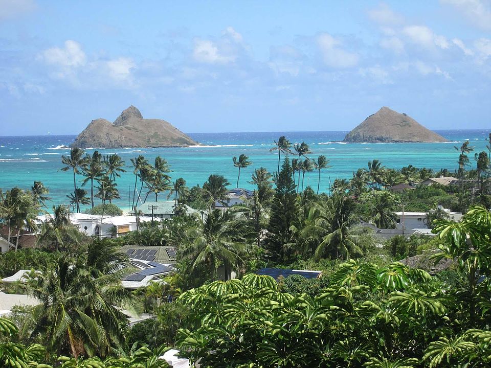 View from living room