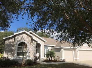 7254 Bucks Ford Dr, Riverview, FL 33578