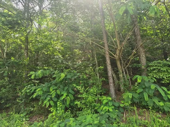 3312 Ridgeway Dr NW, Cleveland, TN 37312