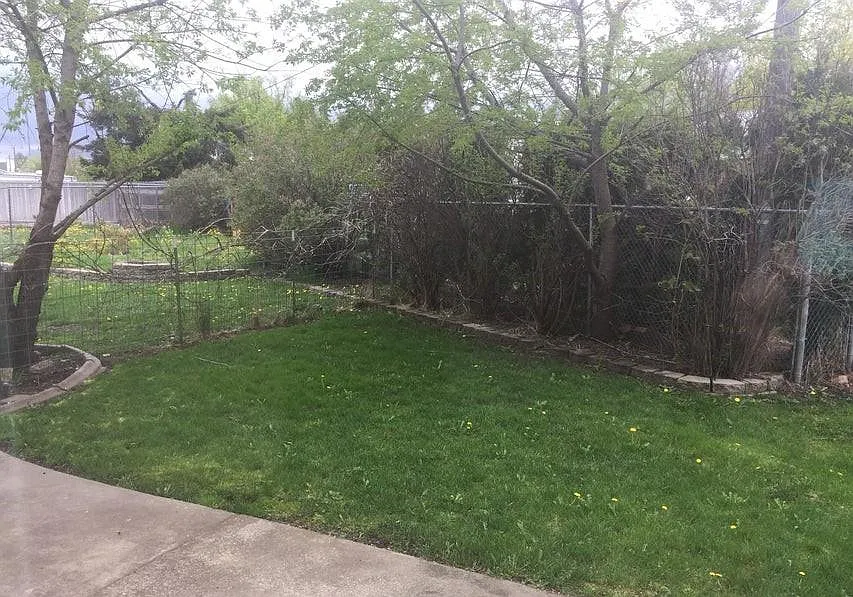 1 bed, 650 sqft, $1,050 — Photo 2