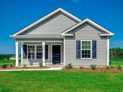 8050 Mill Pond Rd. Lot 10, Galivants Ferry, SC, 29544
