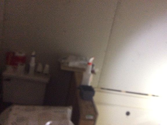 2nd image of 1916 E Clementine St
