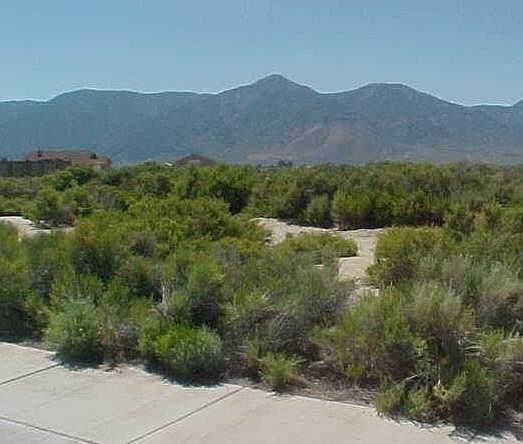 1st image of 2672 Wildhorse Ln