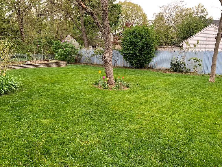 37 Spring Garden St — Photo 6
