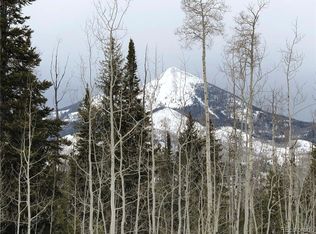59123 Button Willow Dr, Clark, CO 80428
