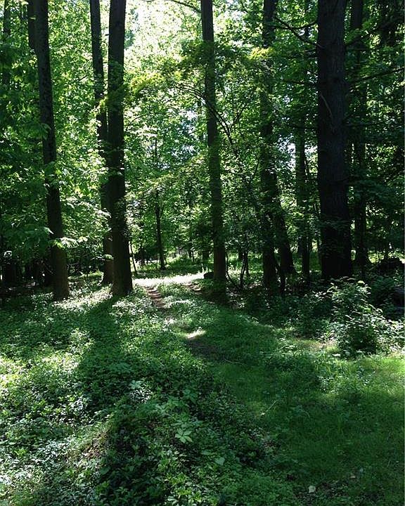 2nd image of 2 Deer Run