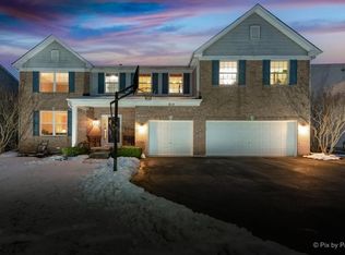 315 Gregory M Sears Dr, Gilberts, IL 60136