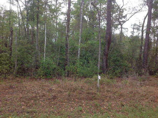2nd image of 102 Palmetto Point Dr