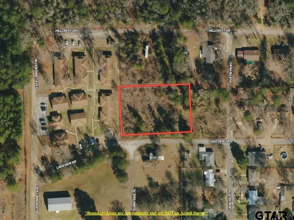 Lakeview Dr, Lone Star, TX 75668